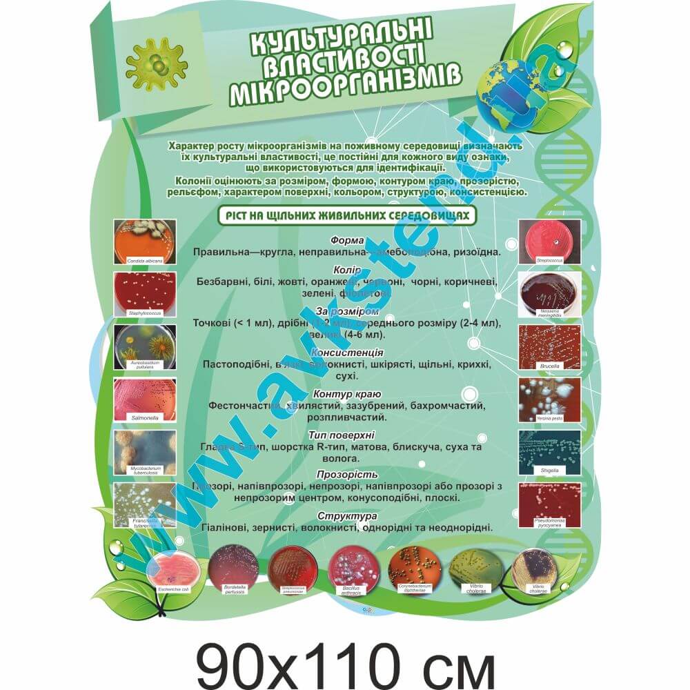 Стенд "Культуральні властивості мікроорганізмів"