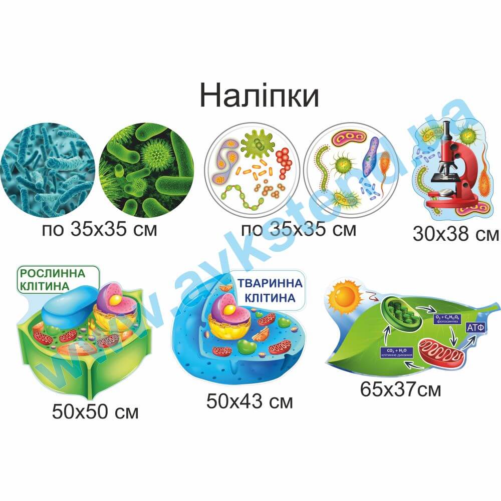 Наліпки на стіну у кабінет біології