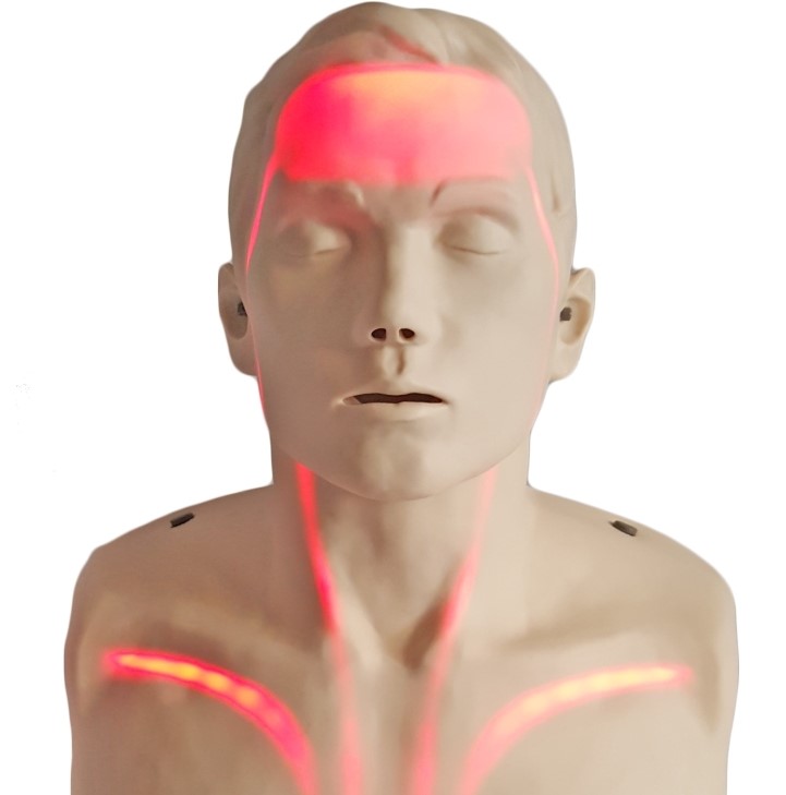 Навчальний манекен серцево-легеневої реанімації з кровообігом