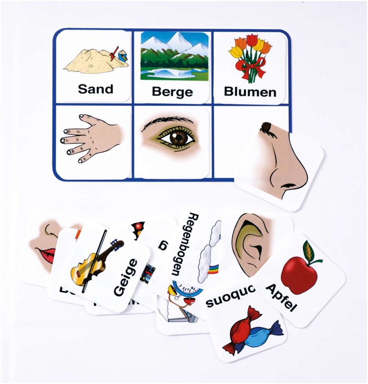 Дидактична гра "Органи чуття"