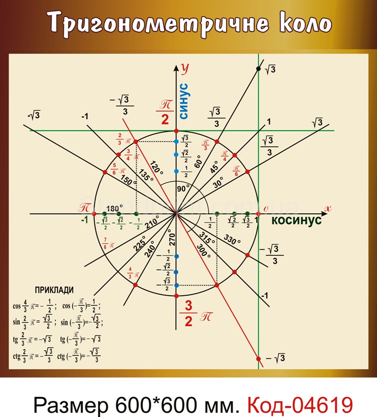Тригонометричний круг