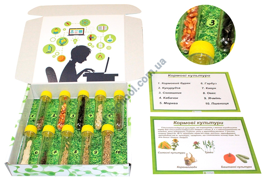 КОЛЕКЦІЯ "ЗРАЗКИ НАСІННЯ КОРМОВИХ КУЛЬТУР"