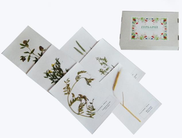 Гербарій "Систематика рослин. Родина Бобові. Злакові"