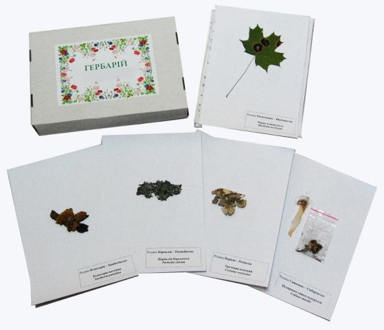 Гербарій «Водорості. Гриби. Лишайники»