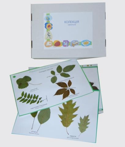 Колекція «Різноманітність листків»