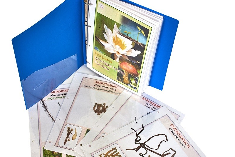 Гербарій «Основні групи рослин»