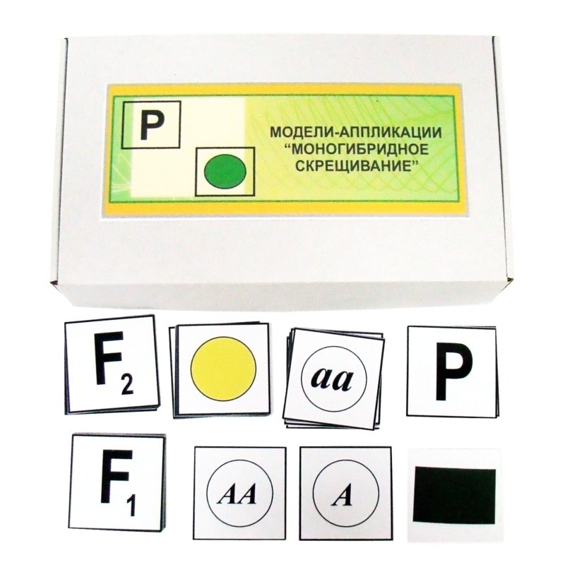 Моногібридне схрещування