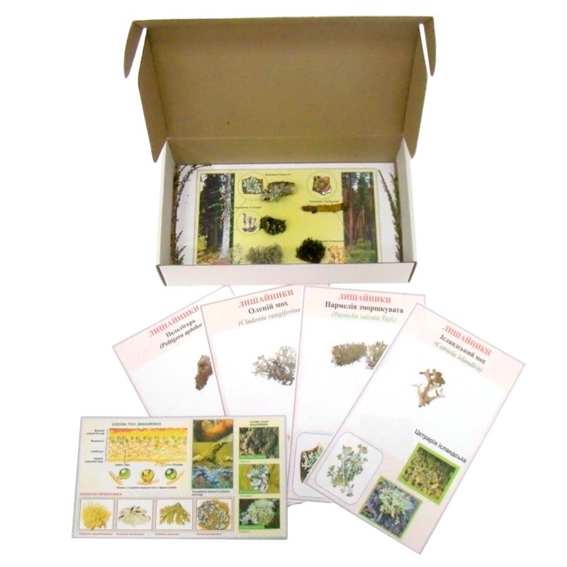 Колекція «Лишайники»