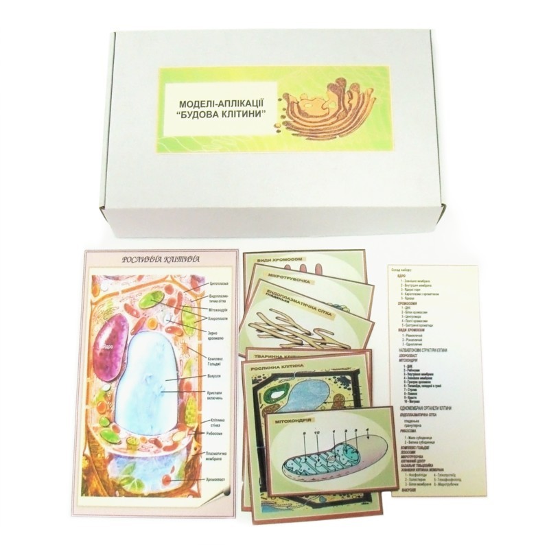 Будова клітини