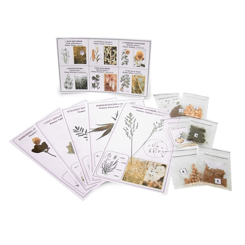 Колекція «Зразки насіння технічних та олійних культур»