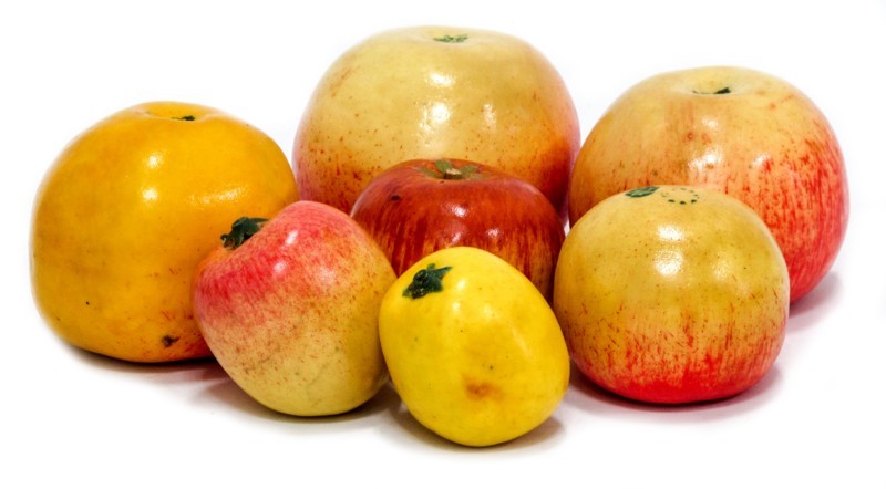 Муляжі «Дика форма та культурні сорти яблук»