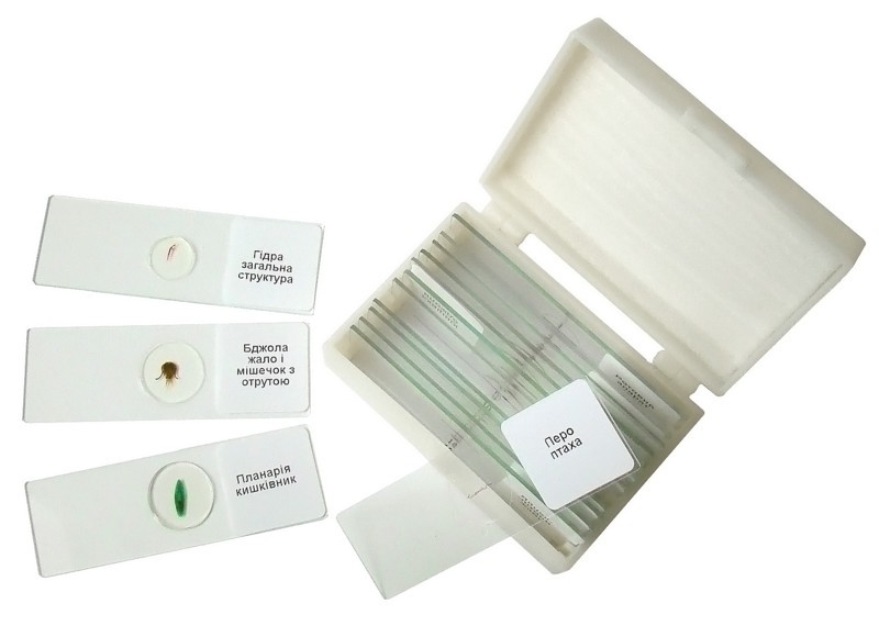 Набір мікропрепаратів «Зоологія»