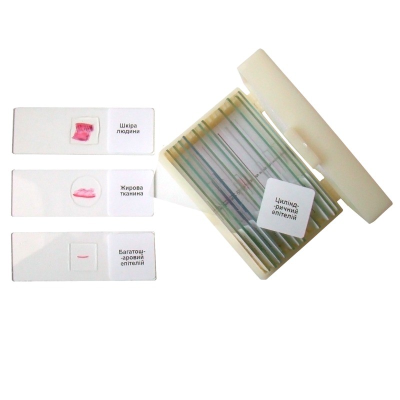 Набір мікропрепаратів «Анатомія»