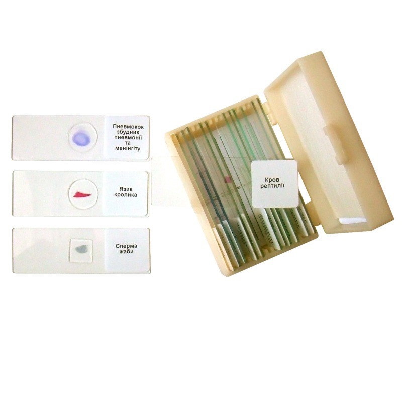 Набір мікропрепаратів для вивчення біології у 10-11 класи