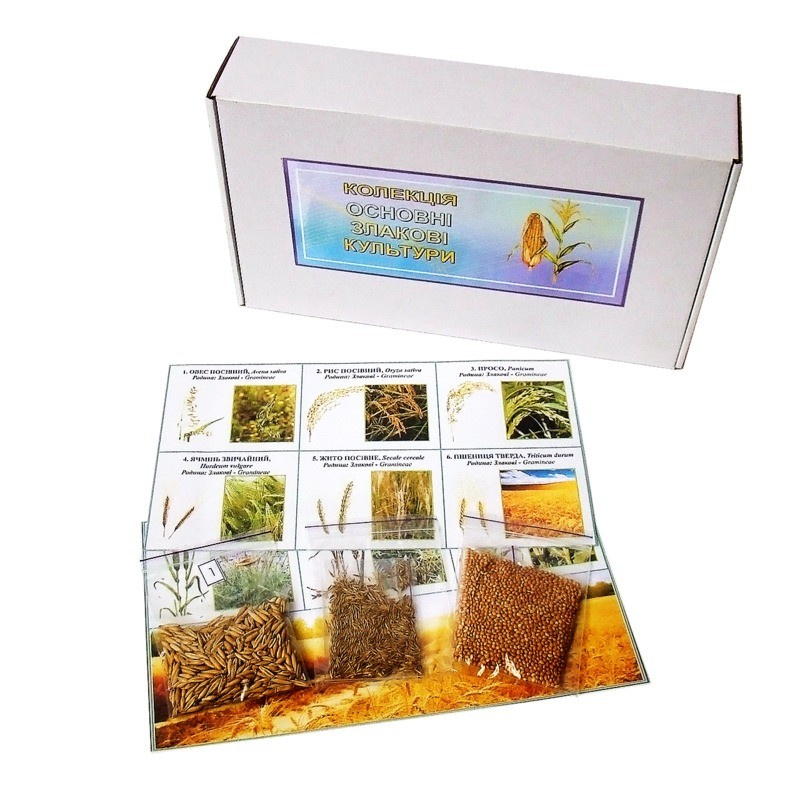 Колекція «Основні злакові культури»