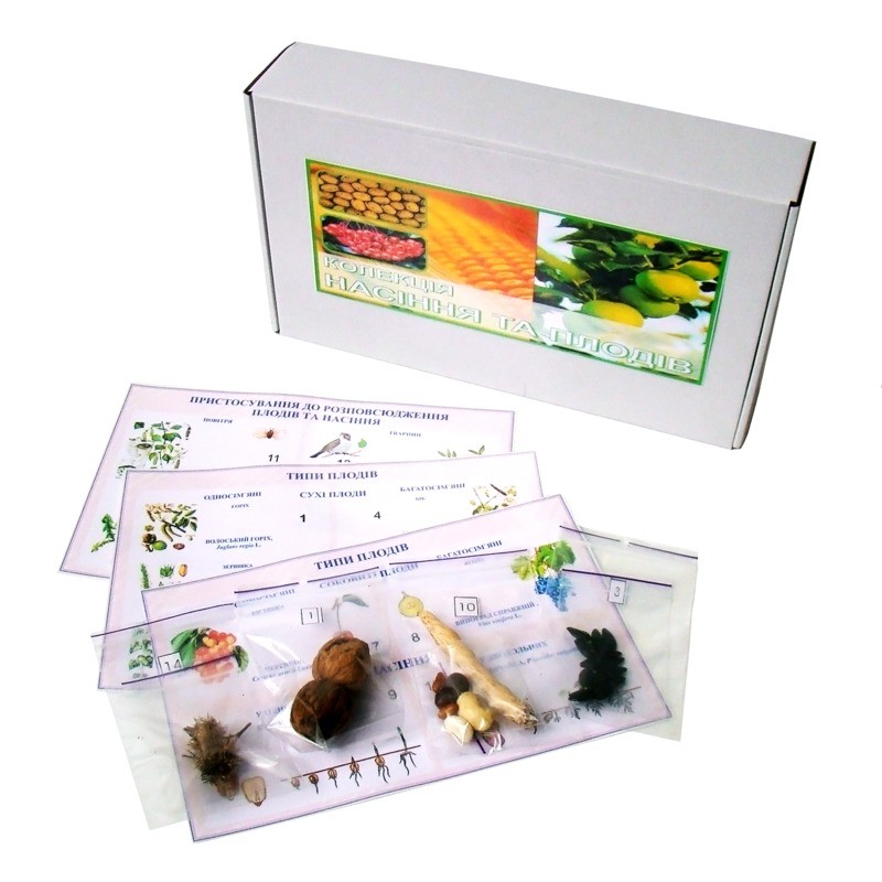 Колекція «Насіння і плоди»