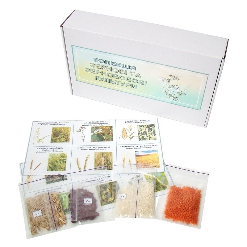 Колекція «Зразки насіння зернових і зернобобових культур»