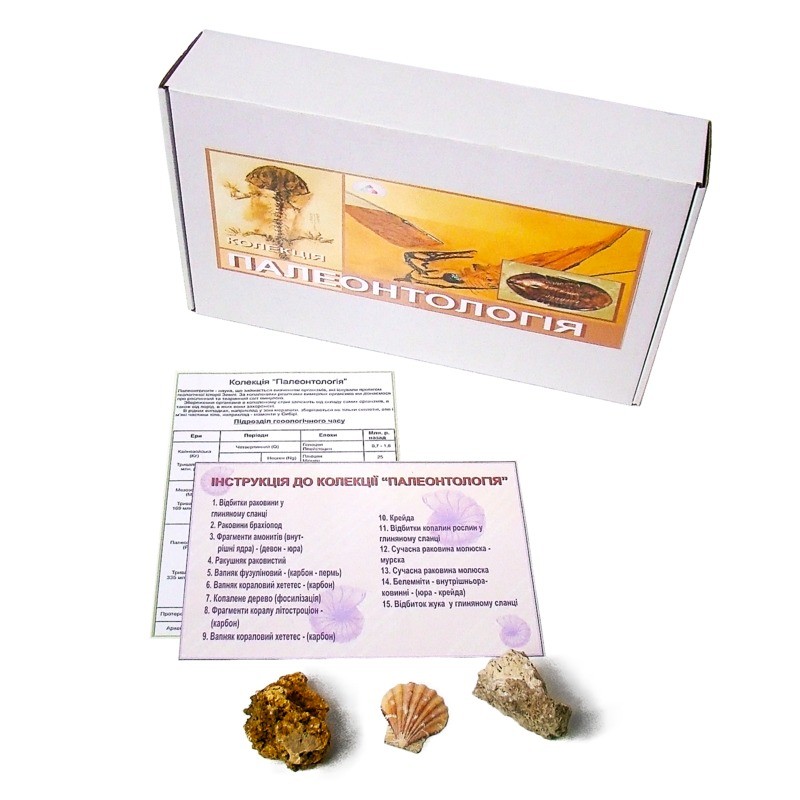 Колекція «Палеонтологічна (форми збереження викопних решток рослин і тварин)»