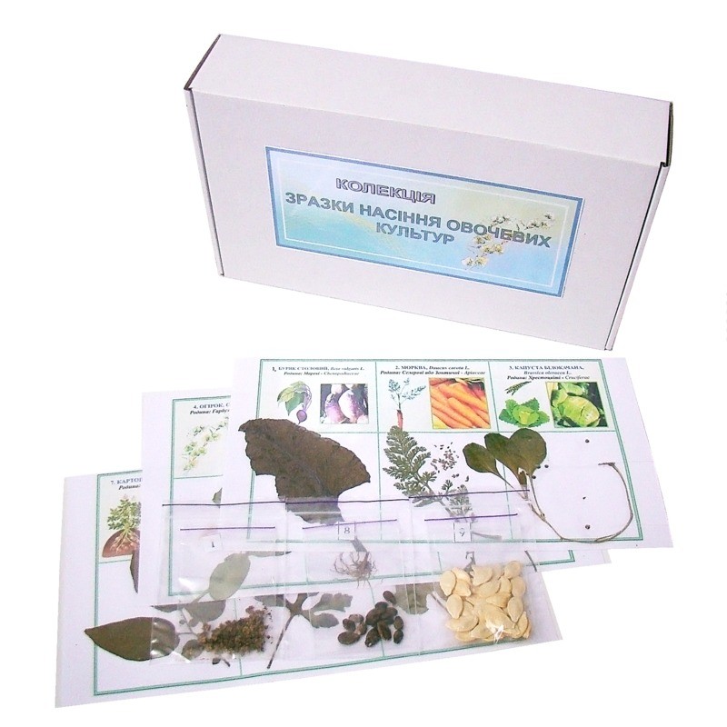 Колекція «Зразки насіння овочевих культур»