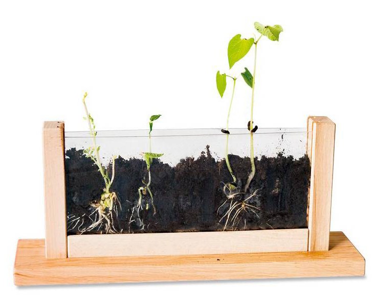 Набір для дослідження за розвитком і ростом рослин "Мала лабораторія"