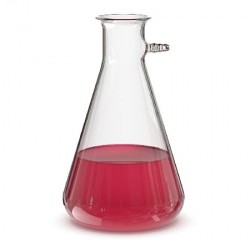 Колба Бунзена 250 мл (з тубусом)