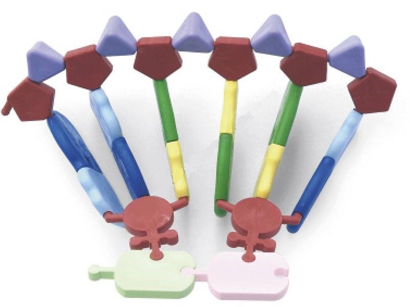 РНК-модель, біосинтез білка (малий)