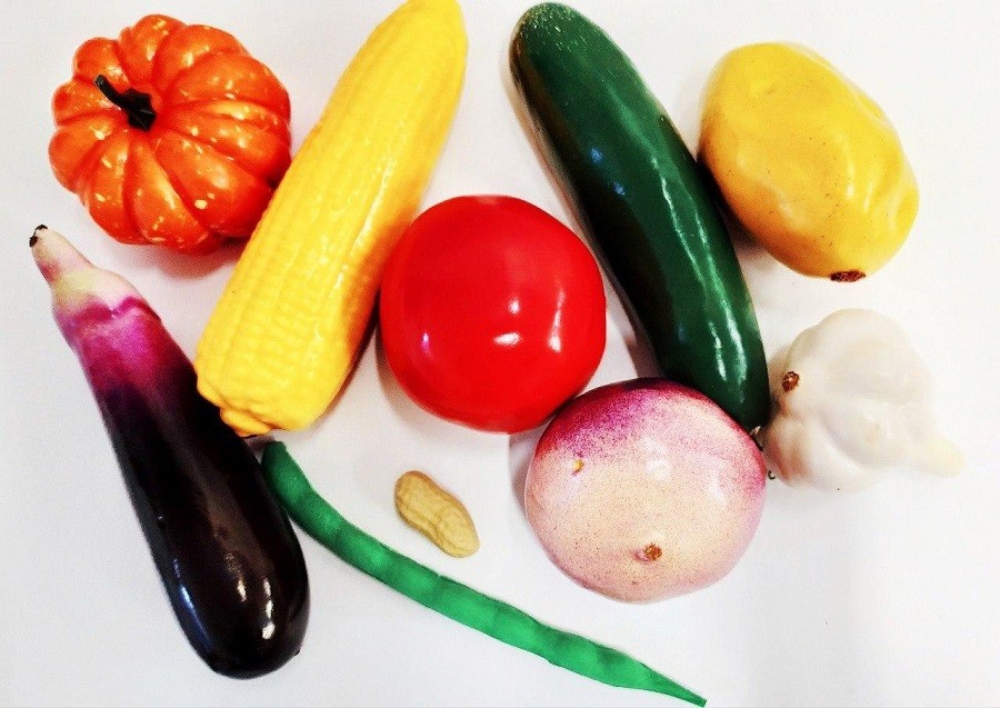 Набір «Муляжі овочів»