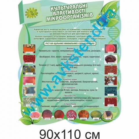 Стенд "Культуральні властивості мікроорганізмів"