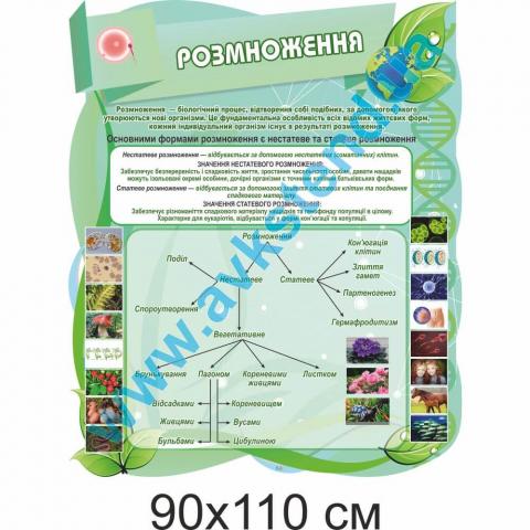 Стенд "Розмноження"
