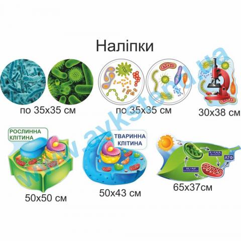 Наліпки на стіну у кабінет біології