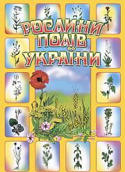 Рослини полів України Рослини полів України