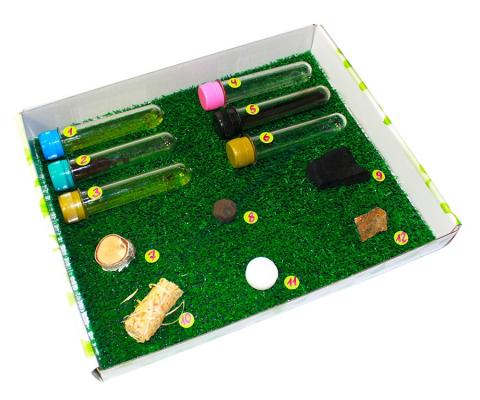 Колекція «Паливо»