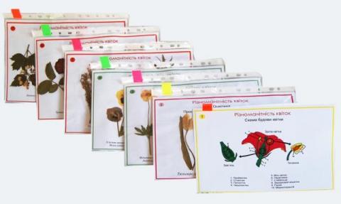 Колекція «Різноманітність квіток»