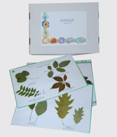 Колекція «Різноманітність листків»
