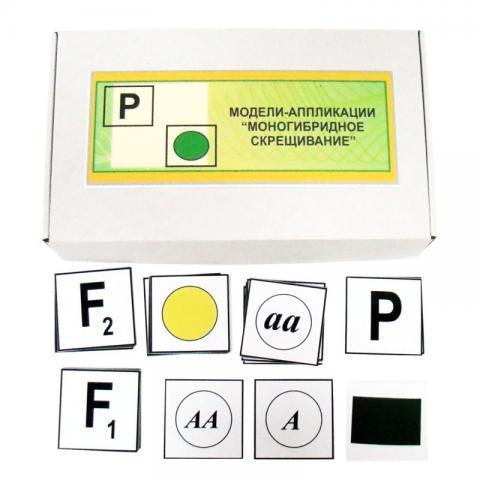 Моногібридне схрещування