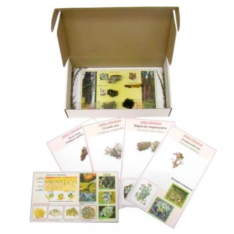 Колекція «Лишайники»