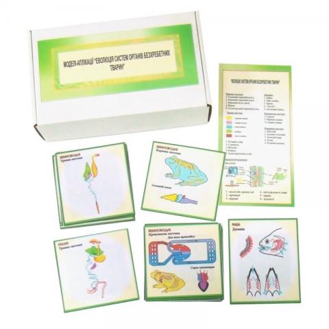 Еволюція системи органів безхребетних тварин