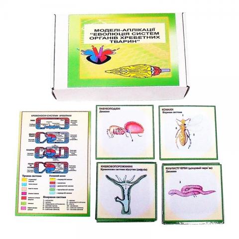 Еволюція системи органів хребетних тварин