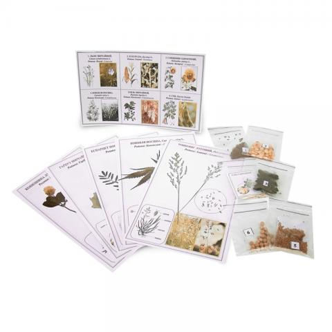 Колекція «Зразки насіння технічних та олійних культур»