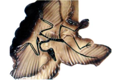 Археоптерикс