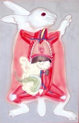 Внутрішня будова кроля