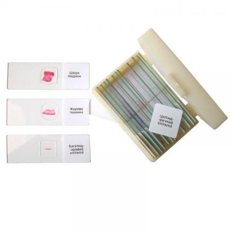 Набір мікропрепаратів «Анатомія»