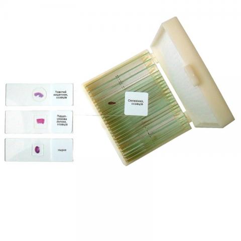 Набір мікропрепаратів «Біологія»