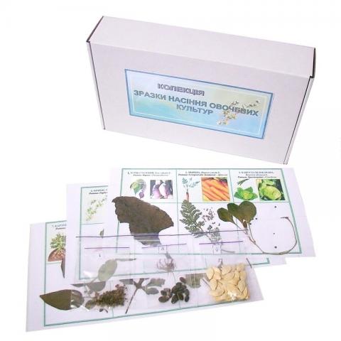 Колекція «Зразки насіння овочевих культур»