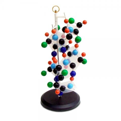 Структура білку