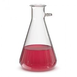 Колба Бунзена 250 мл (з тубусом)