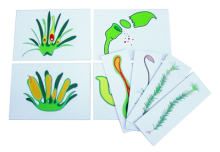 Моделі аплікації